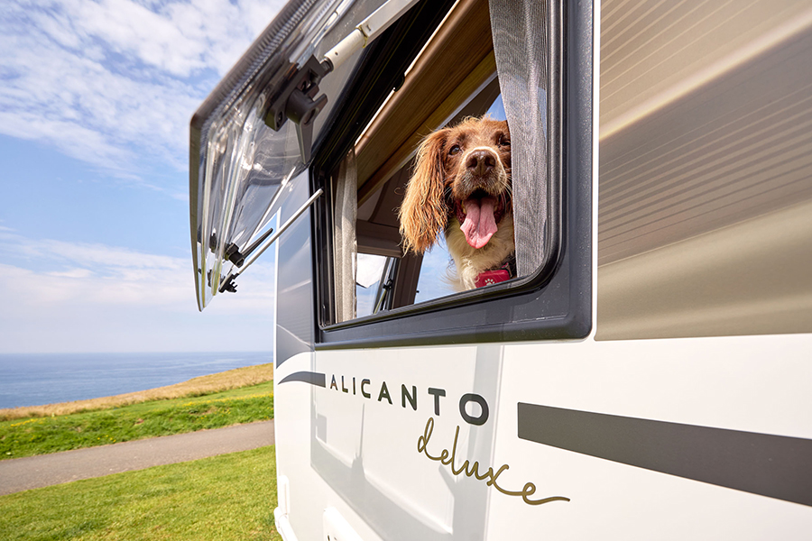 Alicanto-Grande-Deluxe_Champagne-and-bronze-exterior